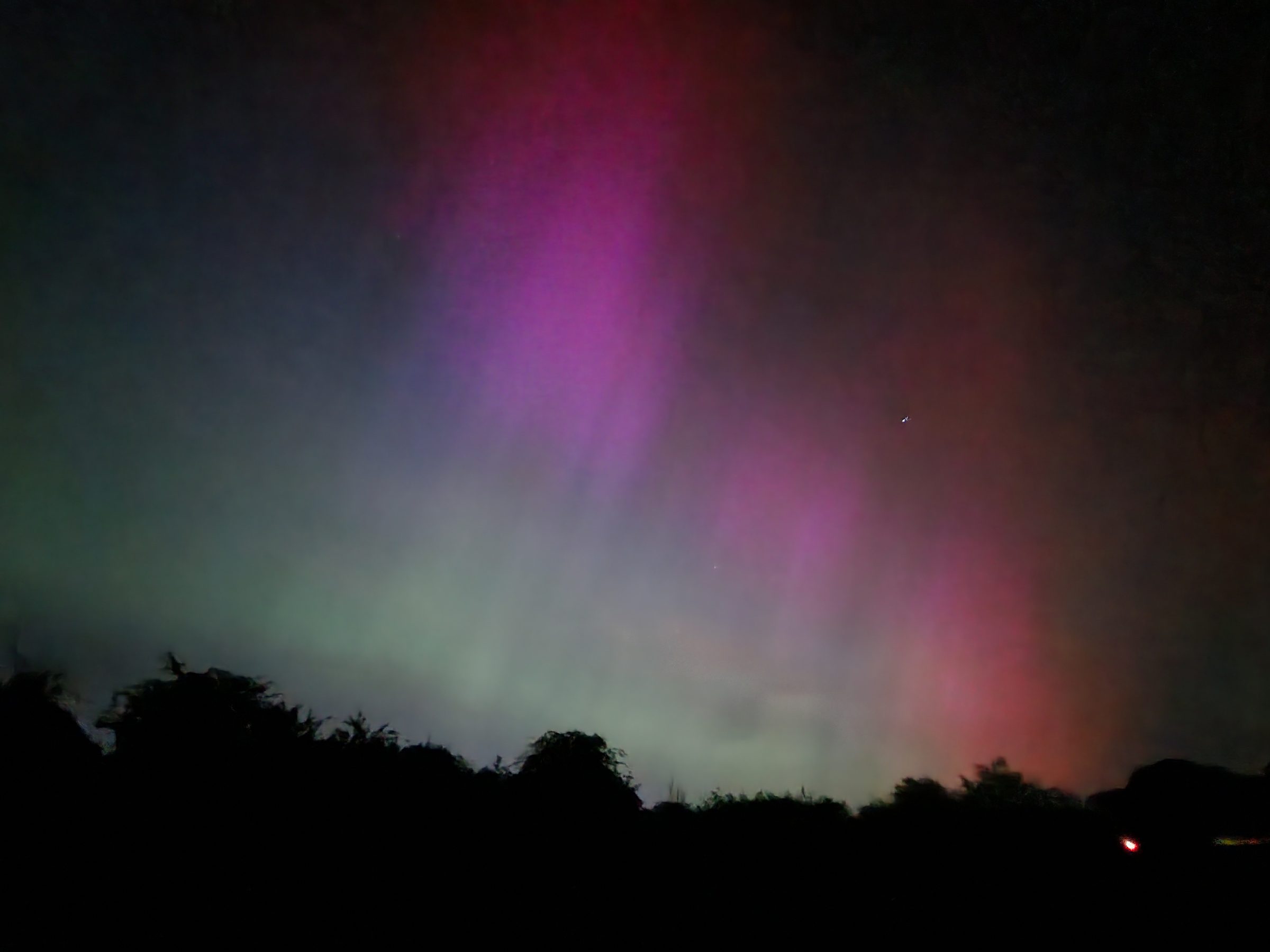 A soft, diffuse pink and pale green aurora glow low over a dark hedgerow, far fainter than a typical aurora photograph.
