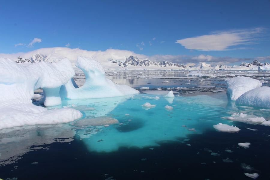 Iceberg with a glowing turquoise underwater shelf beside a snowy coastline under blue sky.