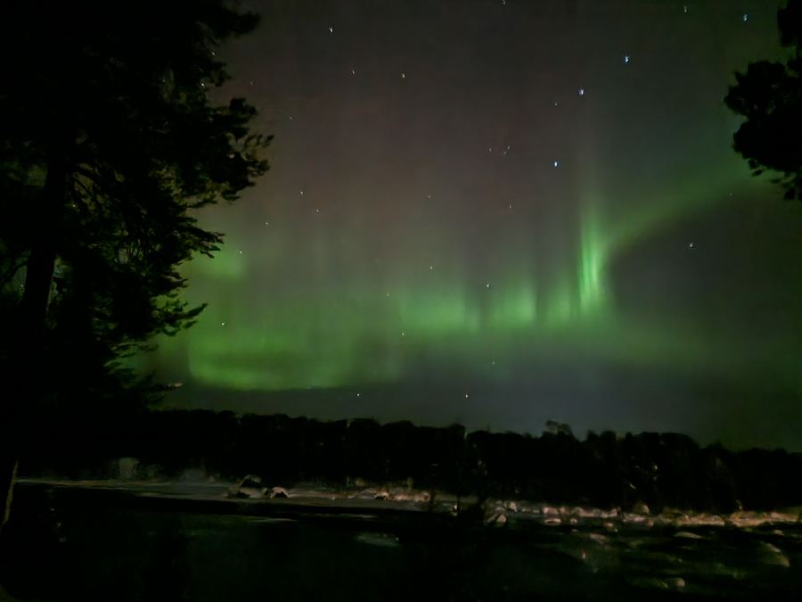 Aurora with a bright vertical green pillar above a dark forest treeline and distant shore lights.