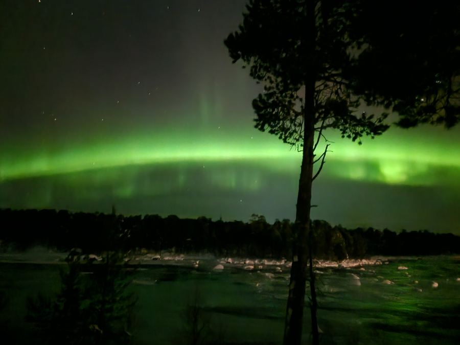 Green aurora arc across the sky reflected in a lake, framed by tall tree silhouettes.