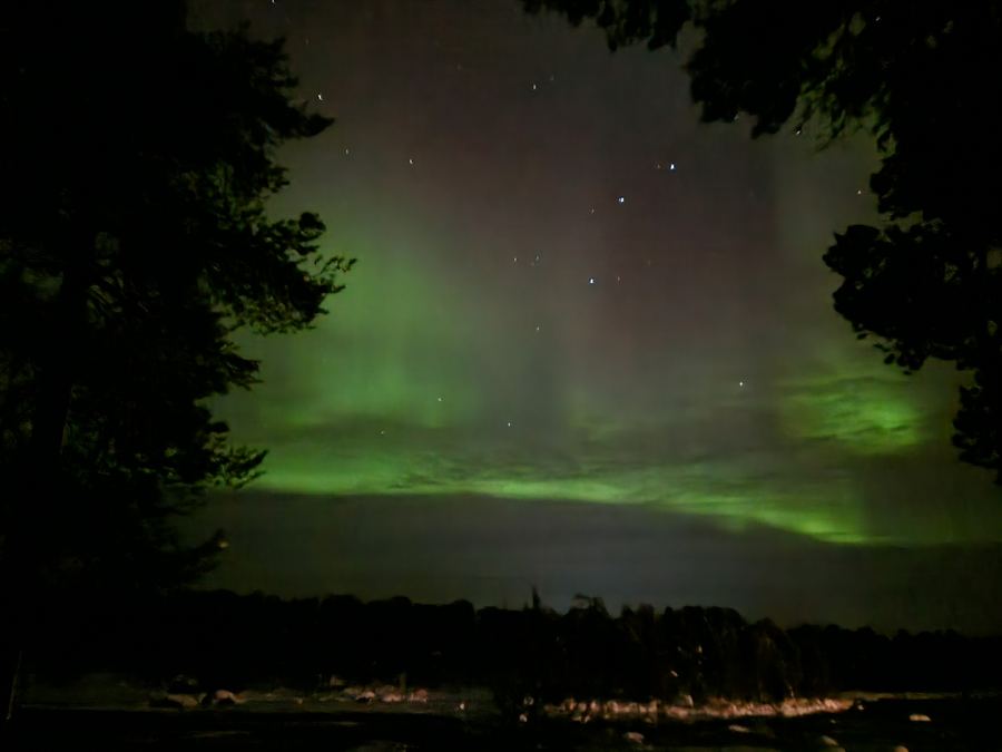 Broad green aurora glow across the night sky framed by dark trees above a distant shoreline.