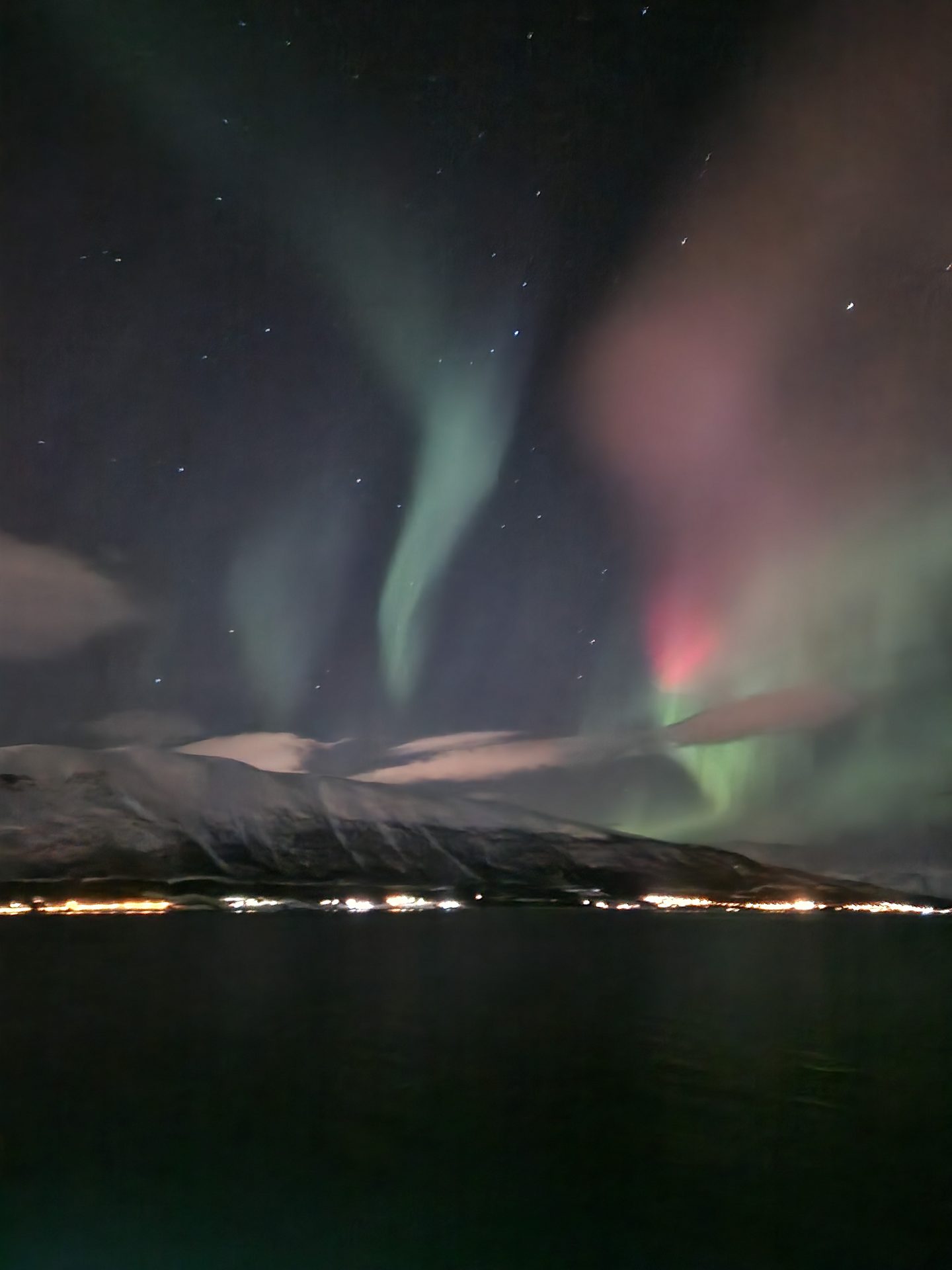 Green and pink-red aurora glowing over a snowy coastline beside a dark fjord.