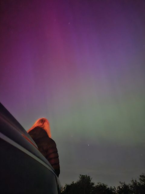 A rare pink and magenta aurora glowing over a dark tree-lined horizon during the May 2024 geomagnetic storm.