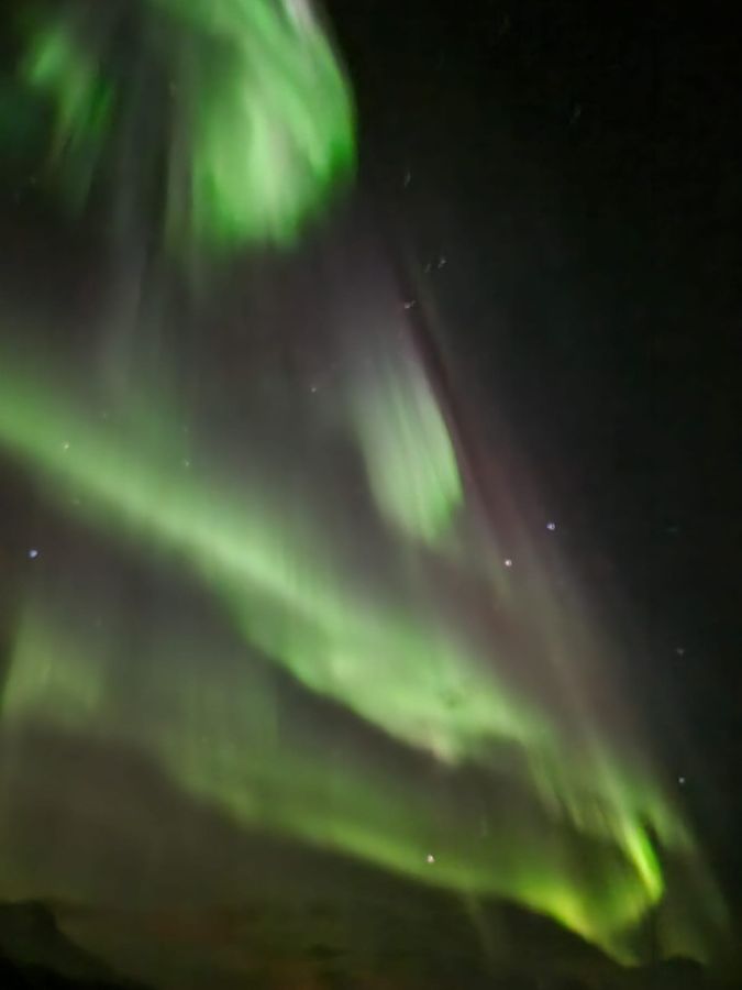 Vertical green aurora rays rising overhead among the stars.