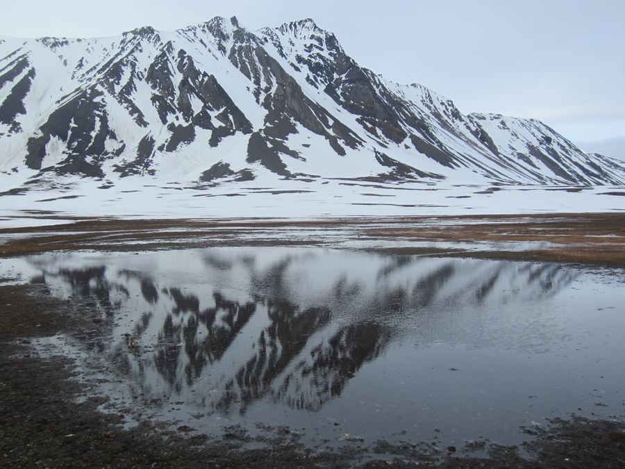Snow-capped mountain range mirrored in still water along a Spitsbergen shoreline.
