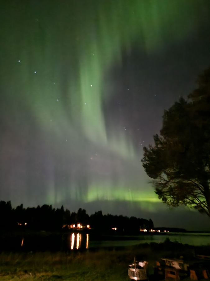 Vertical green aurora curtain in the sky beside a silhouetted tree, with cabin lights along the dark shore below.